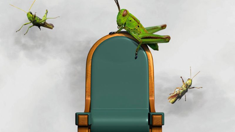 SUMA MC 22 ALCALDÍAS POR «PRESIDENTES CHAPULINES»