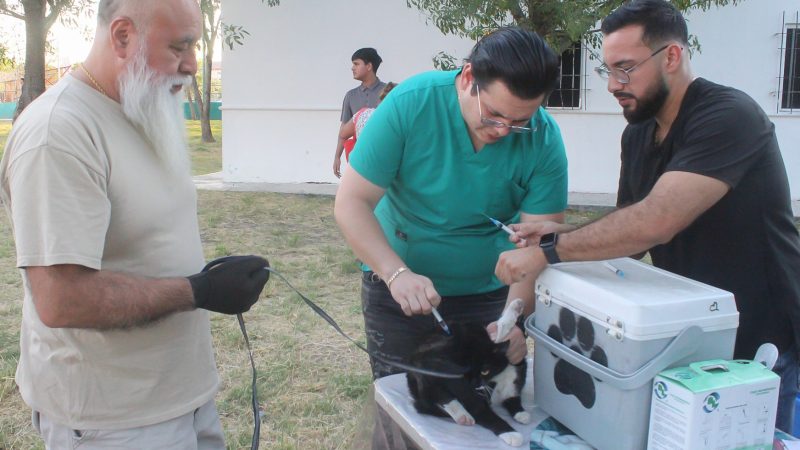 ESTERILIZA APODACA A 6 MIL 500 ANIMALES DE COMPAÑÍA EN DOS AÑOS