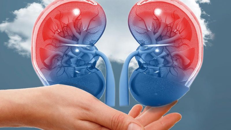 LLAMA EL IMSS A DONAR ÓRGANOS