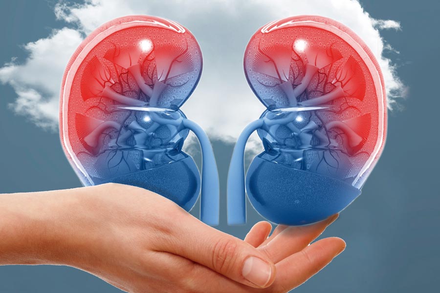 LLAMA EL IMSS A DONAR ÓRGANOS