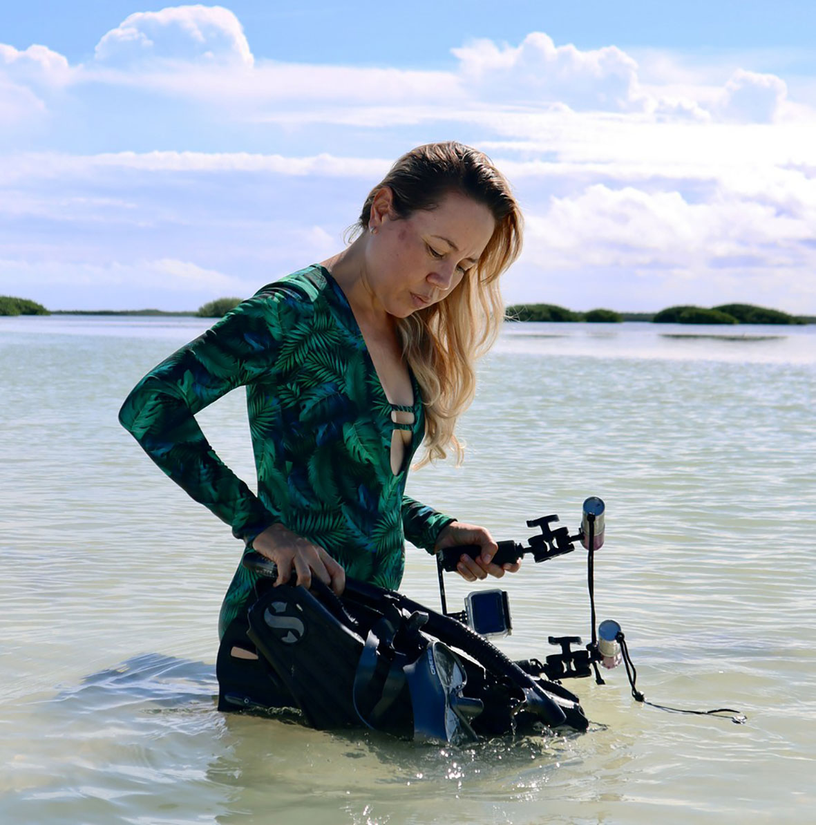 SOBREPESCA, TURISMO DESMEDIDO Y HASTA GENTRIFICACIÓN IMPACTAN EN ESPECIES MARINAS