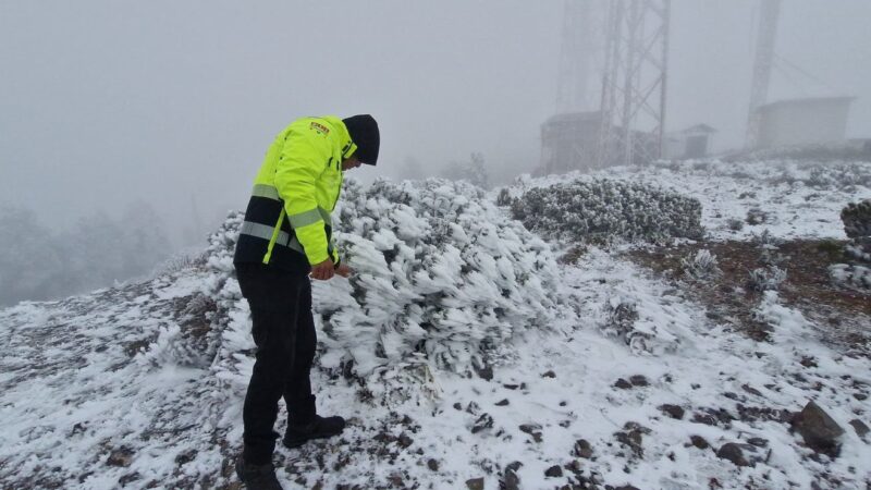 Cae la primera nevada en NL, en el Cerro del Potos´, en Galeana