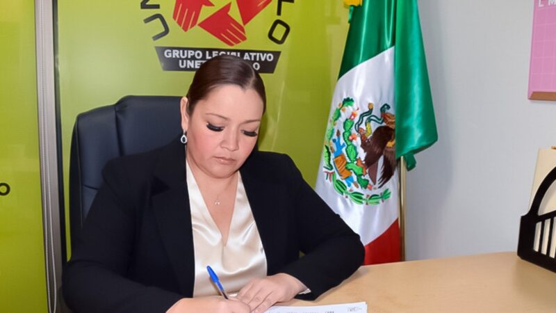 Pide Rocío Montalvo equiparar el «aguachicoleo» al robo y penalizarlo