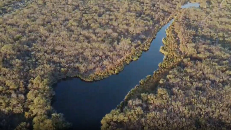 Medio Ambiente de NL suspende obras de construcción que afectan humedales en Zuazua