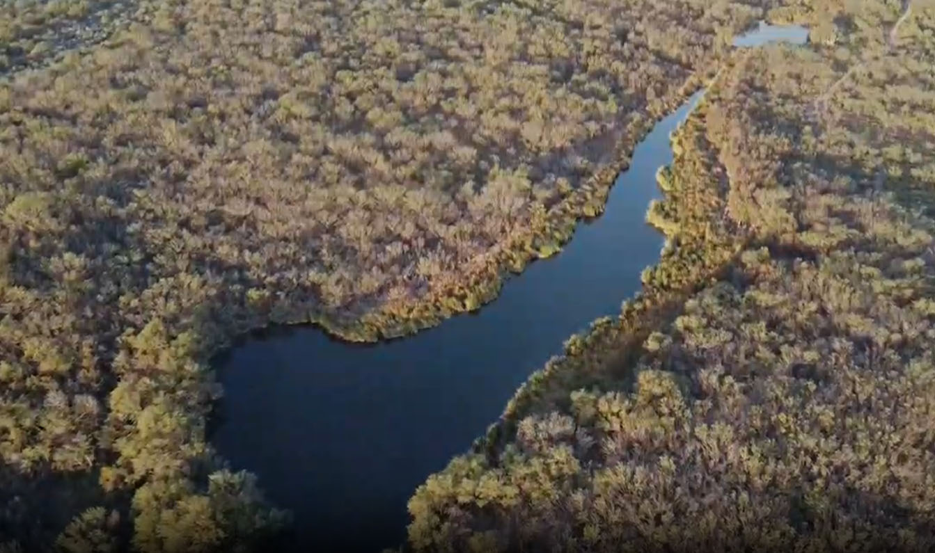 Medio Ambiente de NL suspende obras de construcción que afectan humedales en Zuazua