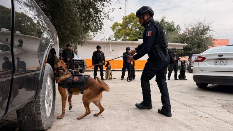 Guadalupe refuerza seguridad rumbo al Mundial 2026 con adiestramiento de binomios K9