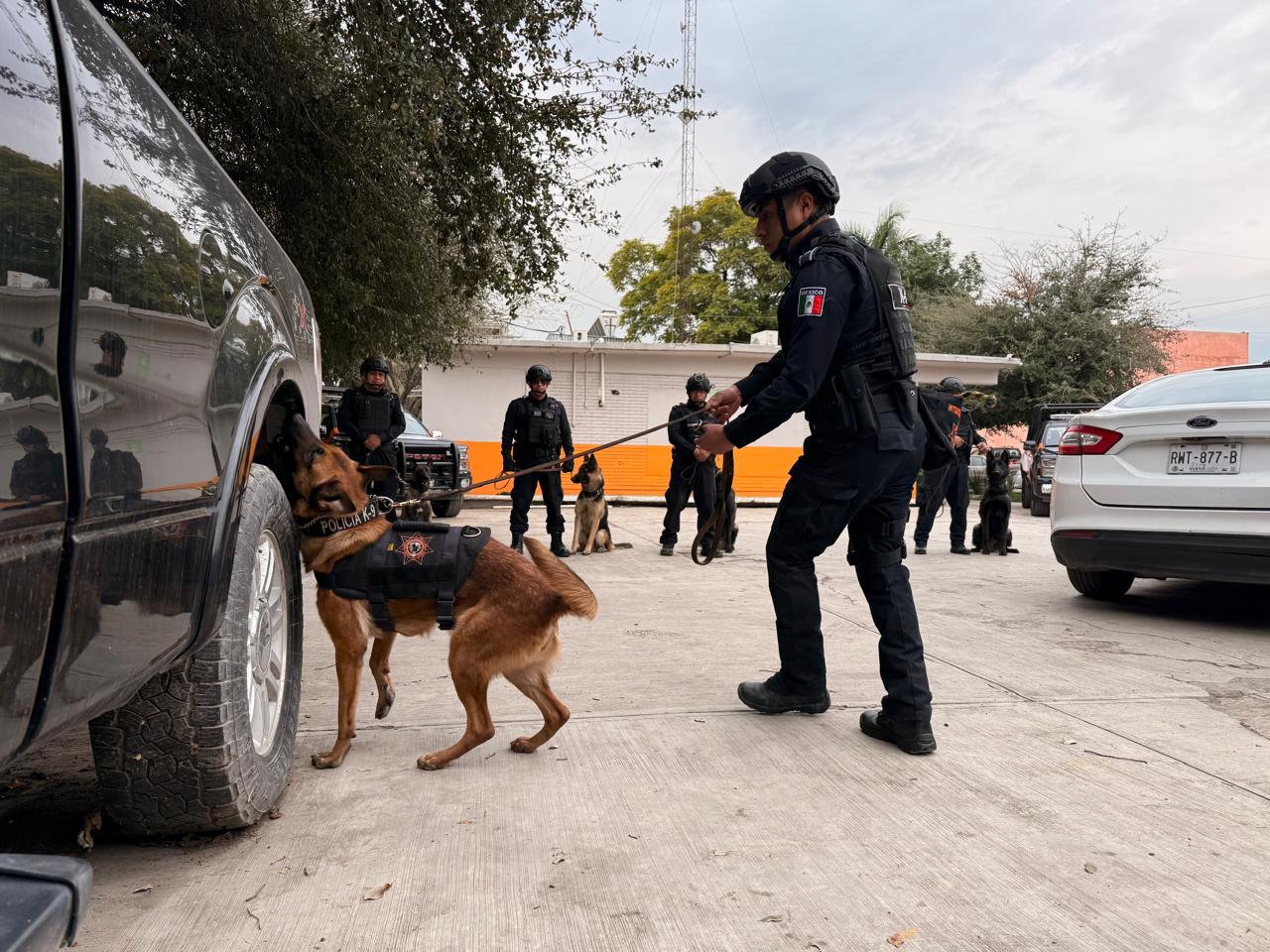 Guadalupe refuerza seguridad rumbo al Mundial 2026 con adiestramiento de binomios K9