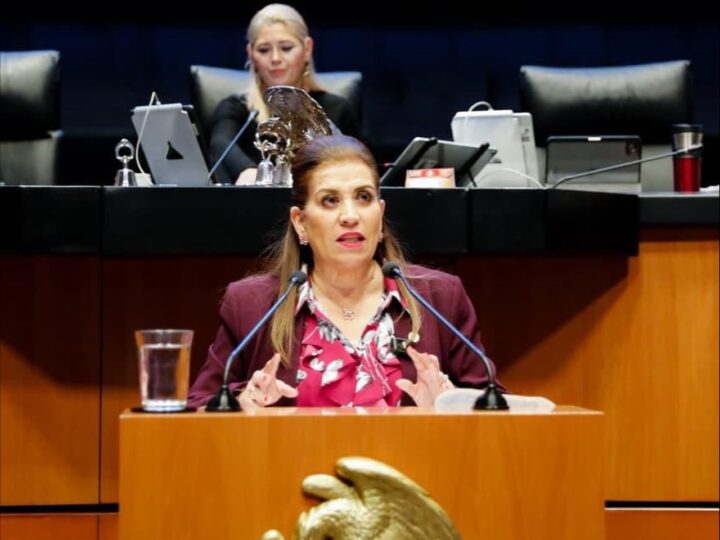 Judith Díaz pide licencia al Senado de la República