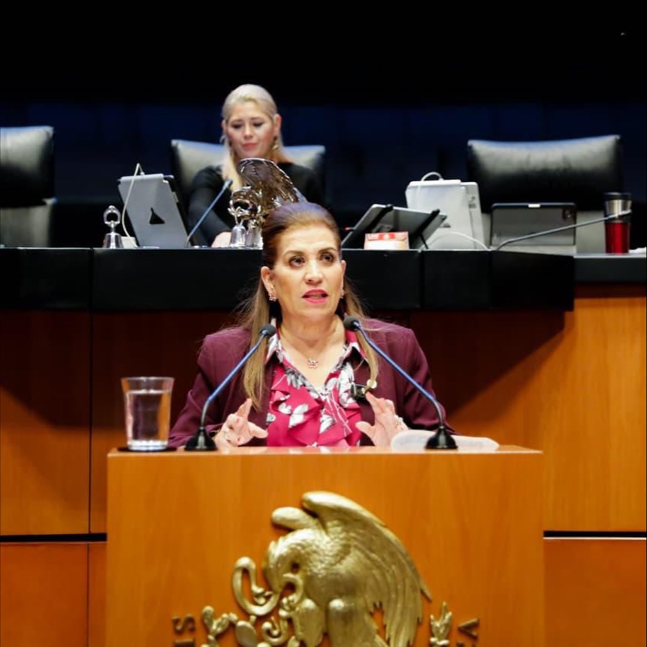 Judith Díaz pide licencia al Senado de la República