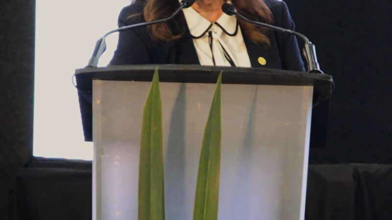 Adultos mayores, discriminados por el sistema bancario, revela Judith Díaz