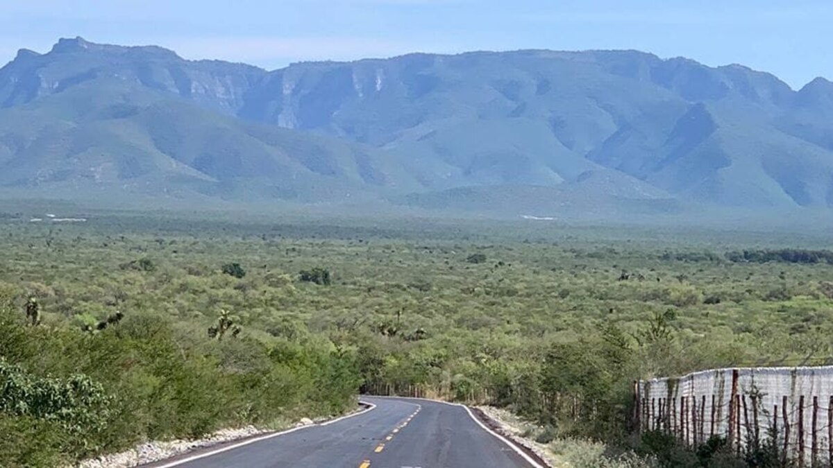 Organizaciones Civiles exigen clausura inmediata y definitiva de las operaciones de Matrimar en la Sierra Picachos