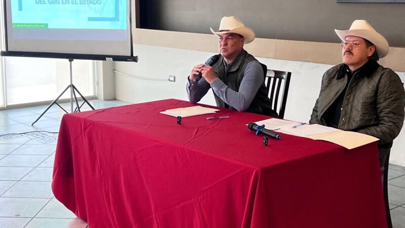 Plaga de gusano «barrena» la economía ganadera de NL