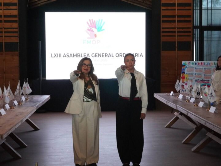 Es Presidenta de la CEDHNL, Secretaria de organismo nacional de derechos humanos