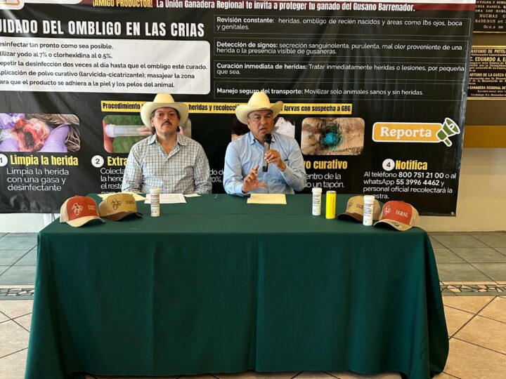 Alerta Unión Ganadera contra incremento de afectación por gusano barrenador