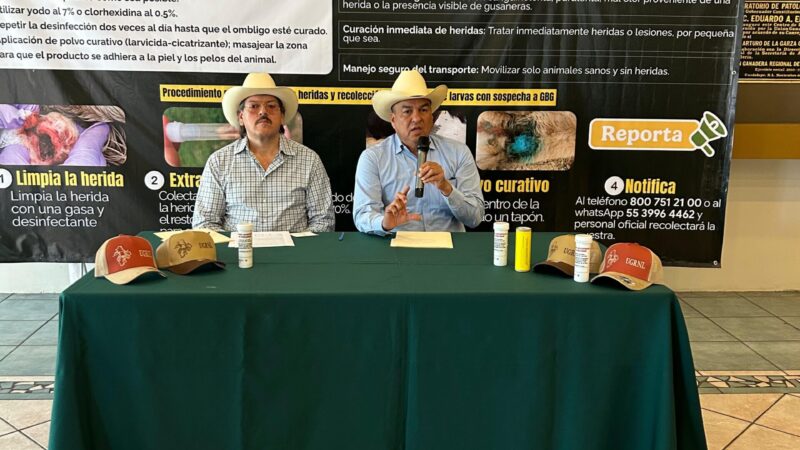 Alerta Unión Ganadera contra incremento de afectación por gusano barrenador