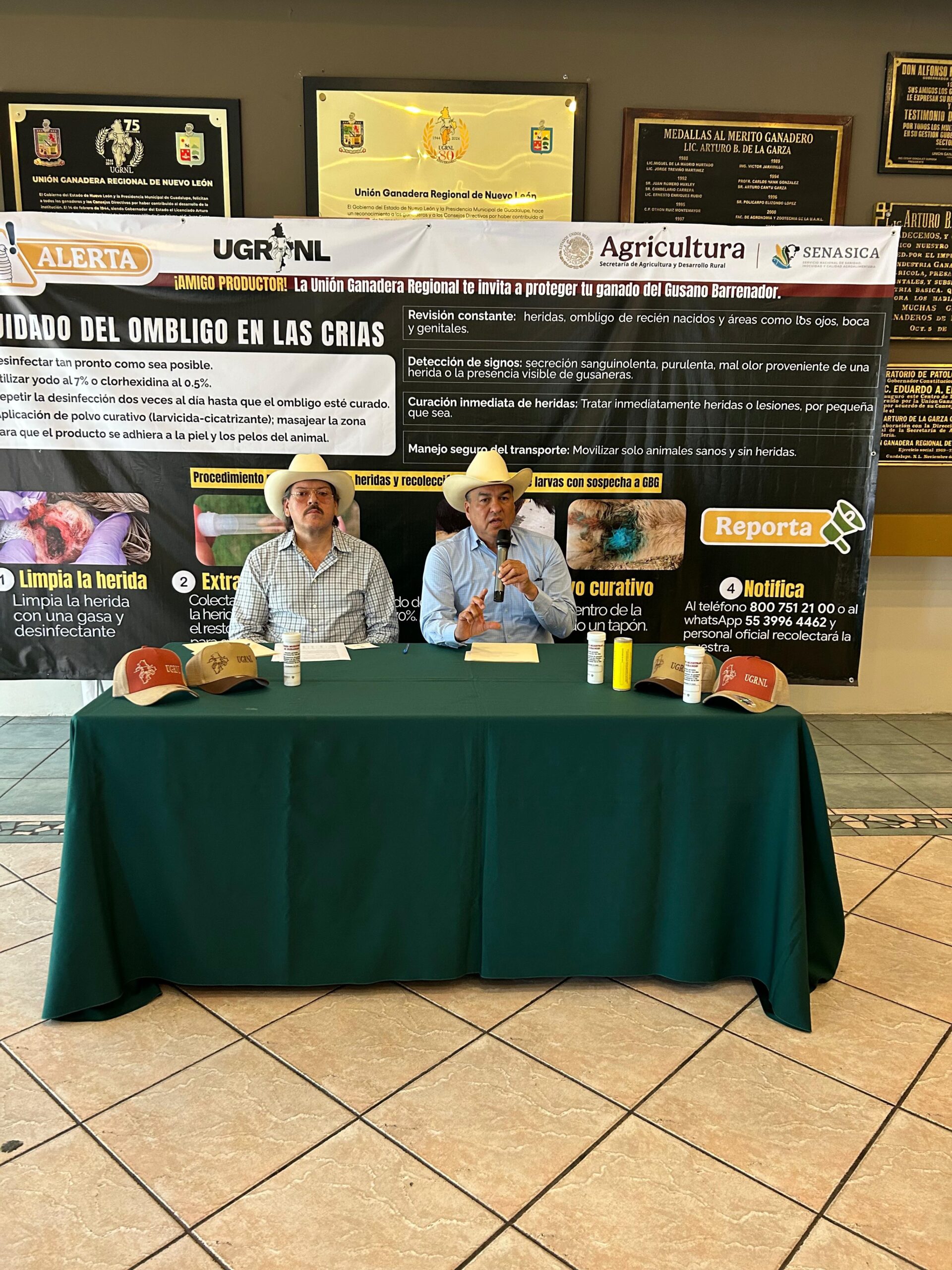 Alerta Unión Ganadera contra incremento de afectación por gusano barrenador
