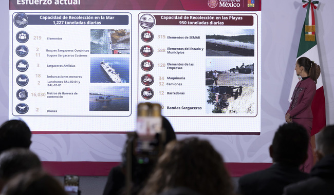 Gobierno de México invertirá dos mil mdp para limpiar sargazo y aprovecharlo en QR