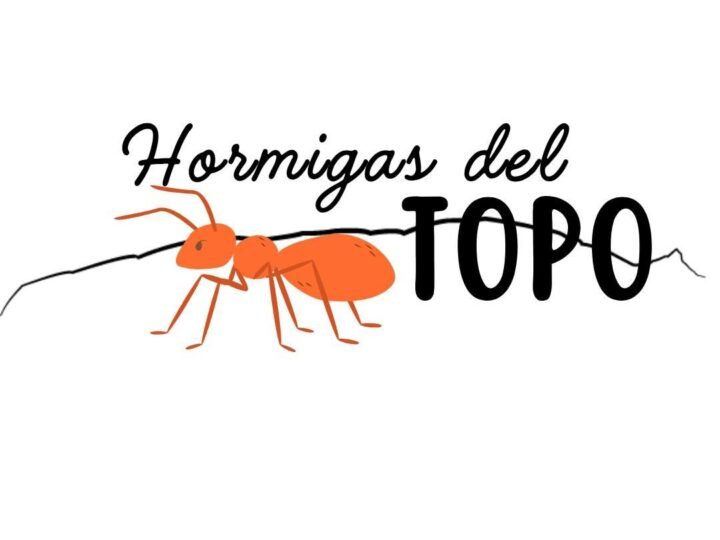 Cerro del Topo Chico es preservado por ejército de «hormigas»