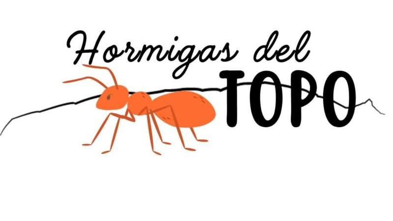 Cerro del Topo Chico es preservado por ejército de «hormigas»