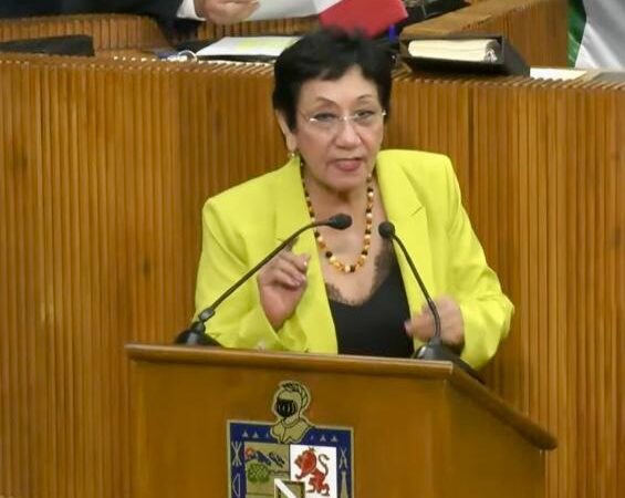 Propone diputada Lupita atender tramos carreteros en zonas serranas del sur de NL