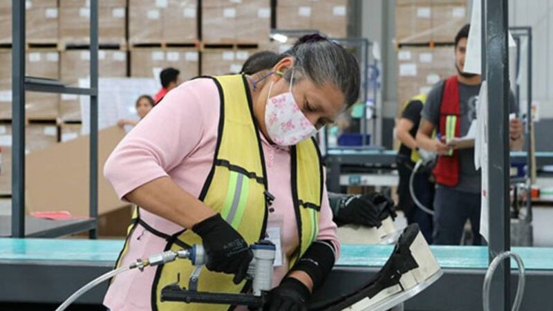 Puestos de trabajo afiliados al Instituto Mexicano del Seguro Social