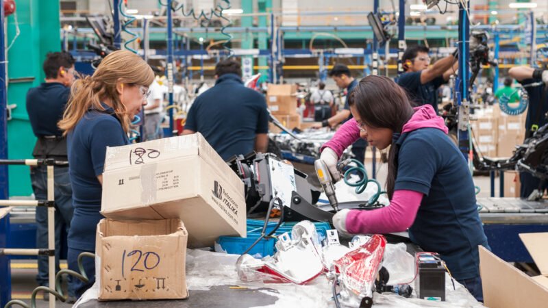 Puestos de trabajo afiliados al Instituto Mexicano del Seguro Social