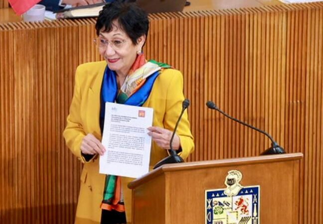 Se pronuncia Diputada Lupita sobre proceso electoral 2027 de NL