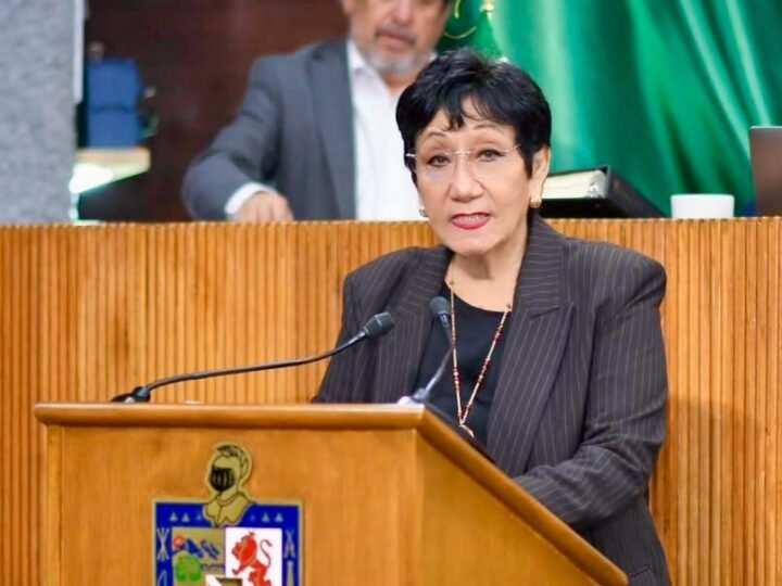 Propone Diputada Lupita declarar el 8 de agosto como ‘Día Estatal del Comercio Popular en Vía Pública’