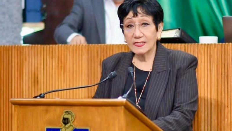 Propone Diputada Lupita declarar el 8 de agosto como ‘Día Estatal del Comercio Popular en Vía Pública’